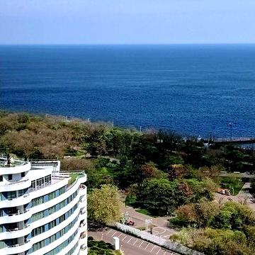 Оренда Пляж Аркадiя. Одеса Без комис . Пляж пiд дом! Паркуван вiд хоз!