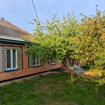 Продам Дворище в Чорнобаї