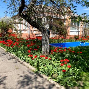 Будинок центр Золотоноші