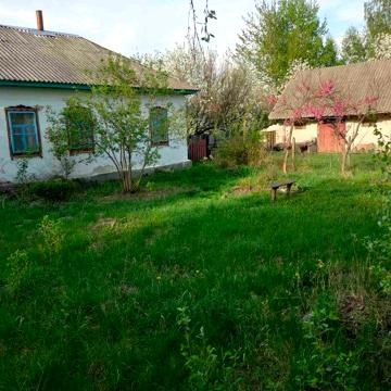 будинок 90 м2 село Олишівка