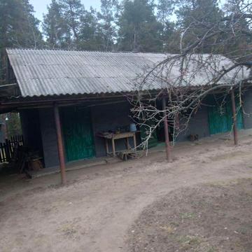 Будинок (дом) село Концеба2