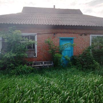 Будинок в селі Циганське
