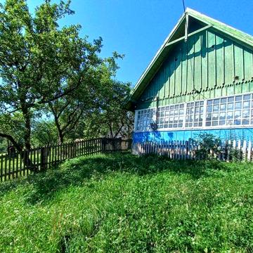 Будинок в Карпатах (с. Селятин).