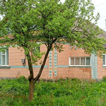 Продається будинок в с.Дерно