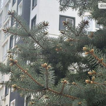 Продаж 3к Квартира Тихого провулок ЖК Continent