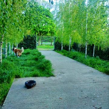 Современный дом вашей мечты в Лесках