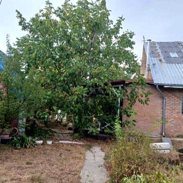 Сучасний будинок в тихому місці в оренду, можливо з викупом
