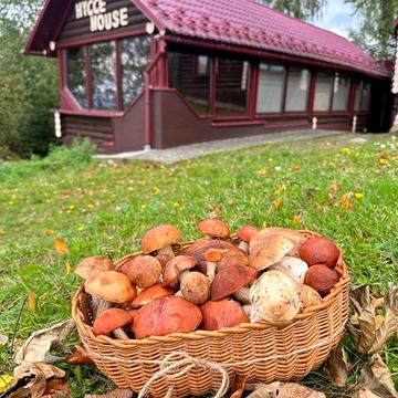Продається унікальний маєток в гірській місцевості.