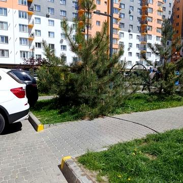 Продаж однокімнатної квартири, 51 кв/ м,ЖК Сімейний Комфорт ЖК Сімейний Комфорт