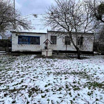 Будинок 74 м.кв в с. Лосятин (Білоцерківський р-н, 75 км від Києва)