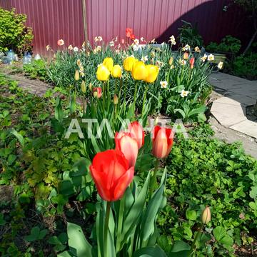 Люстдорфская дор. 27, 12, Таирово, Киевский, Одесса, Одесская 65000.0 USD