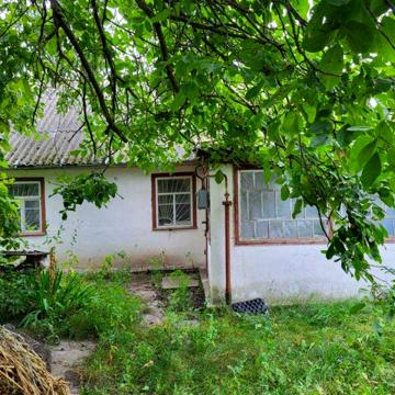 Будинок з земельною ділянкою