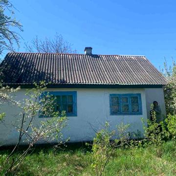 Стара деревяна хата із земельною ділянкою 29,5 соток