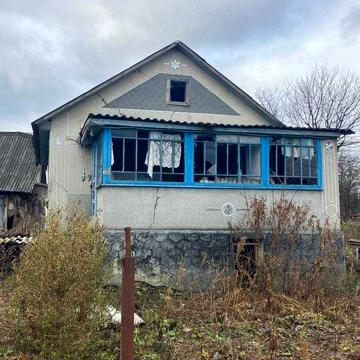 Будинок в Будках
