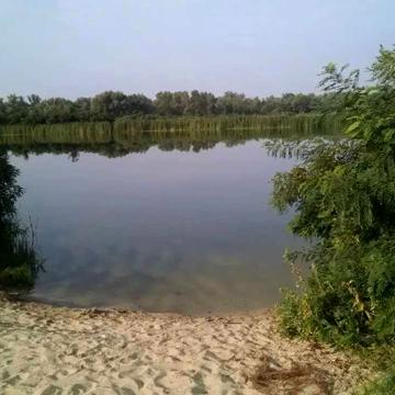 Продам дачу біля води та лісу