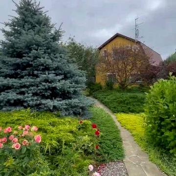 Два дома 160 м2, баня 65 м2 с шикарным ландшафт. и плод. садом 39 сот.