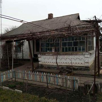 Дом в селе и 25+ соток огорода