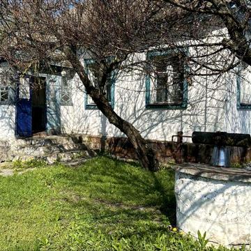 Продам будинок с. Петрівка  Бобровицький р-н