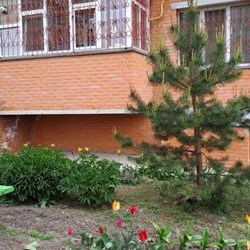 Оренда однокімнатної квартири
