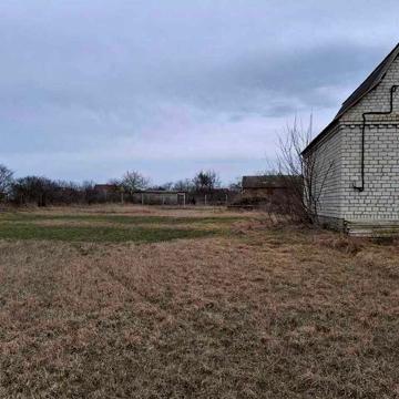Продам дом с участком 25 соток в Холодной Балке