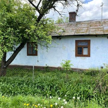 Будинок, хата з подвірʼям