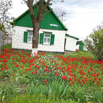 Будинок у Піщанці