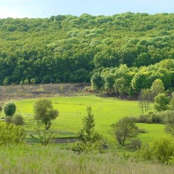 Будинок, 20 соток, с. Велика Вільшанка, вул. Софіївська