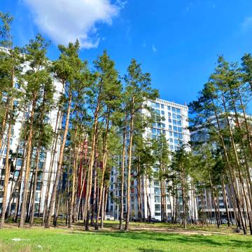 Університетська вул., 1-Ч