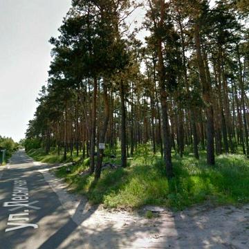 Ліснича вул.