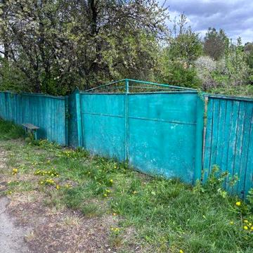 Продам будинок з ділянкою, с. Токарі, Полтавська обл.