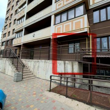 Відродження, 1