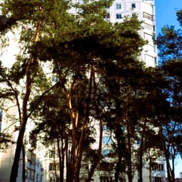 Мілютенка вул., 17-В