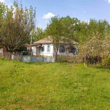 Будинок з господарчими будівлями в Нова Галещина