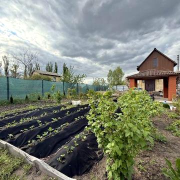 Дачний будинок на 6 сотках з садовими насадженнями. Раківка