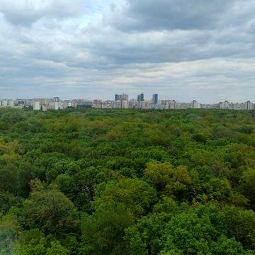 Здам 1 кімнатну в ЖК Одеський  бульвар
