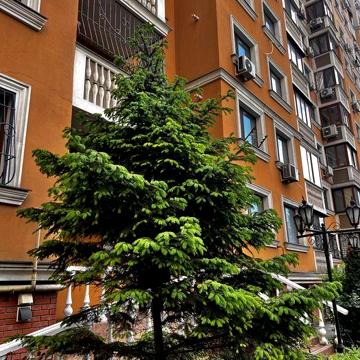 Вигідна ціна! Академгородок на Говорова. ЖК Вкадеммістечко