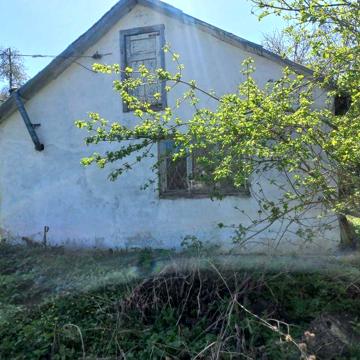 Продам будинок  м. Тараща