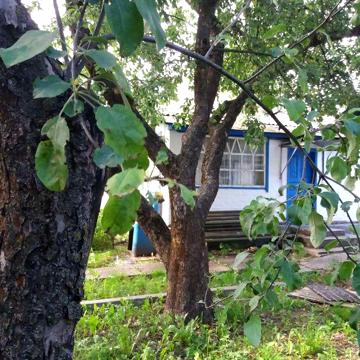 Будинок 4 кімнати для проживання, з садибою для ведення господарства.