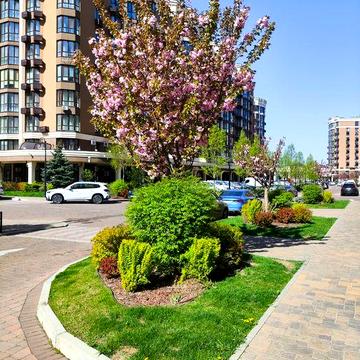 Однокімнатна квартира в Sofia Residence, заселений будинок, 1к без %. ЖК Sofia Residence