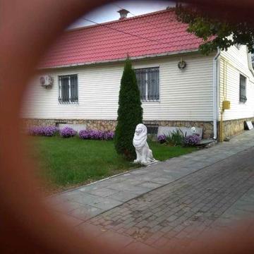 Будинок у селі Вороньків