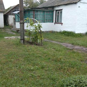 Продам дом Бобровиця