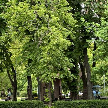 Квартира трикімнатна