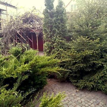 Сдам довгостроково будинок у с. Стоянка, ст. Воїн