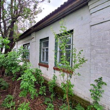 Продам дім 80км від Київа
