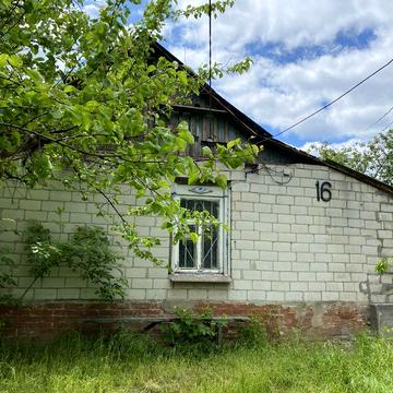 Будинок, земельна ділянка, капітальний гараж, дача. Дімітрова