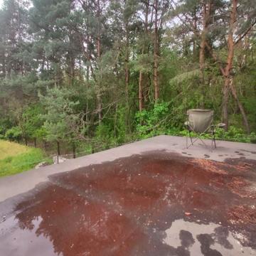 Дача возле соснового леса