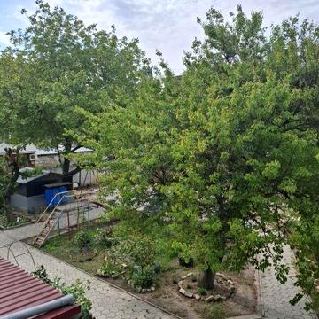 ПРОДАЮ 1кв.ул.Декабристов- пр.Центральный
