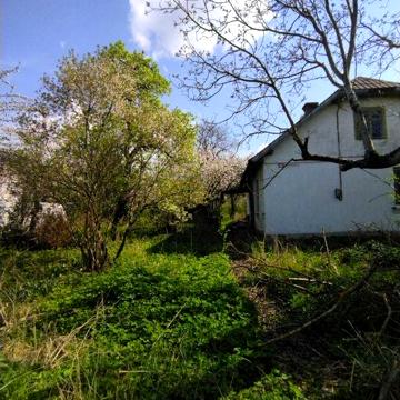 Будинок з земельною ділянкою