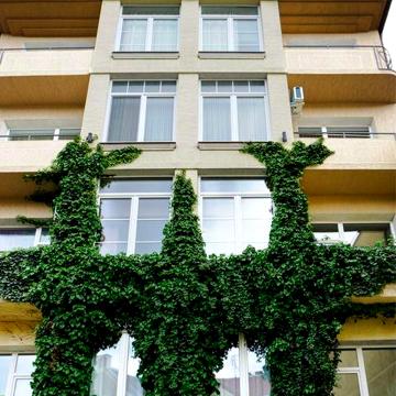 Продаж 1-кімнатної в центрі Ужгорода