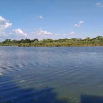 Продам дачу в Подгородном возле реки, первая  линия тихое место,